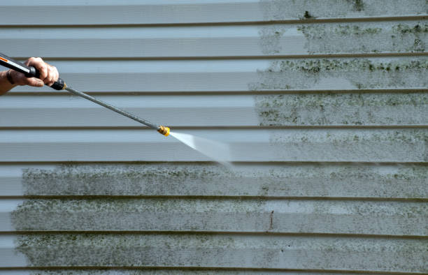 Best Driveway Pressure Washing  in Ogden, UT